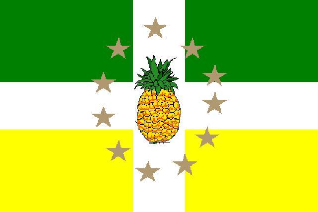 Bandera Oficial del Municipio de Lajas